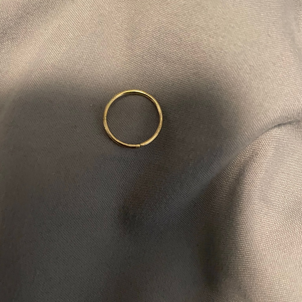 Hinge Nose Ring